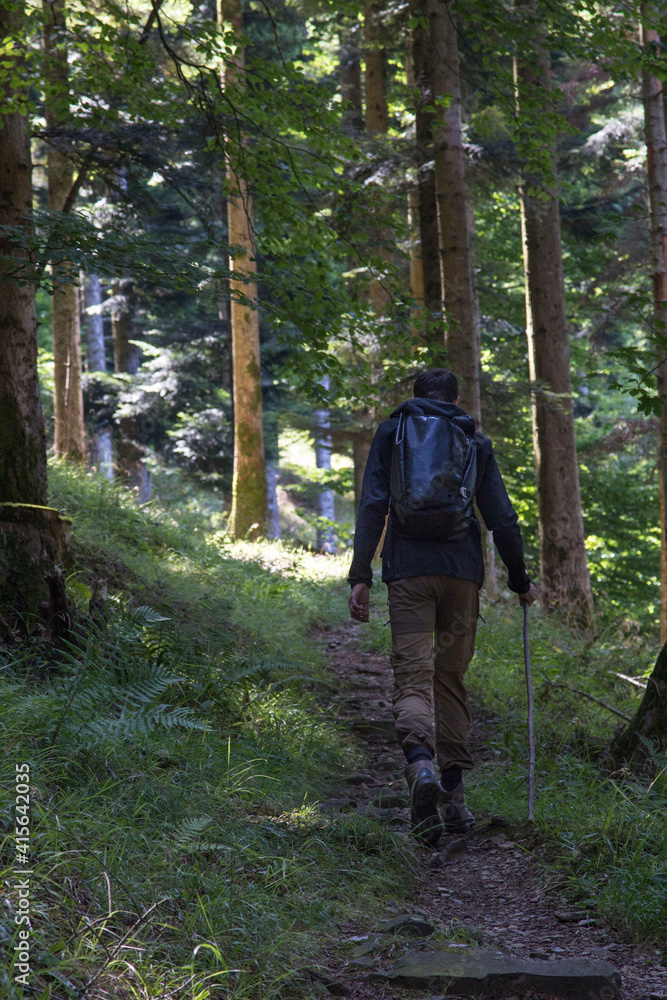 Obraz premium Randonneur sur chemin pédestre des Vosges dans la forêt