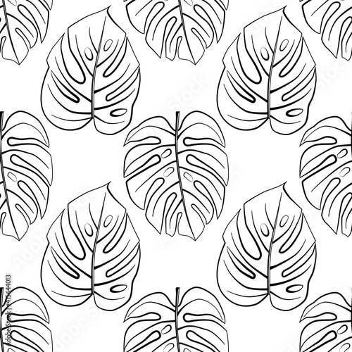 Seamless geometric pattern tropical monstera leaves black and white hand drawn vector illustration