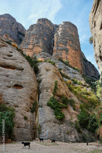 Rocky cliffs close to Vadiello reservoir in Guara Natural Park, Huesca, Spain photo