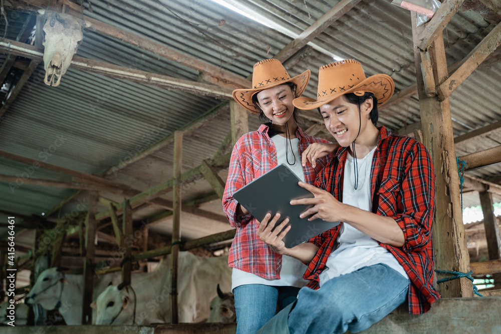 two farmers in casual clothes sit by a wooden fence while using a digital tablet in the background of the cattle farm