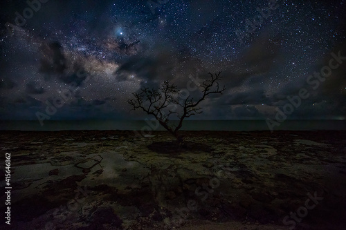 Bild auf Leinwand Looking for the Milky Way in The Keys, Florida