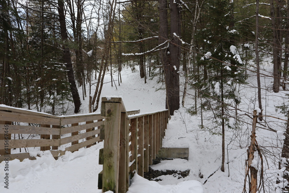 Snow covered walking bridge in winter forest park
