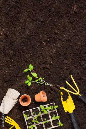 Gardening tools and plants on soil background top view.