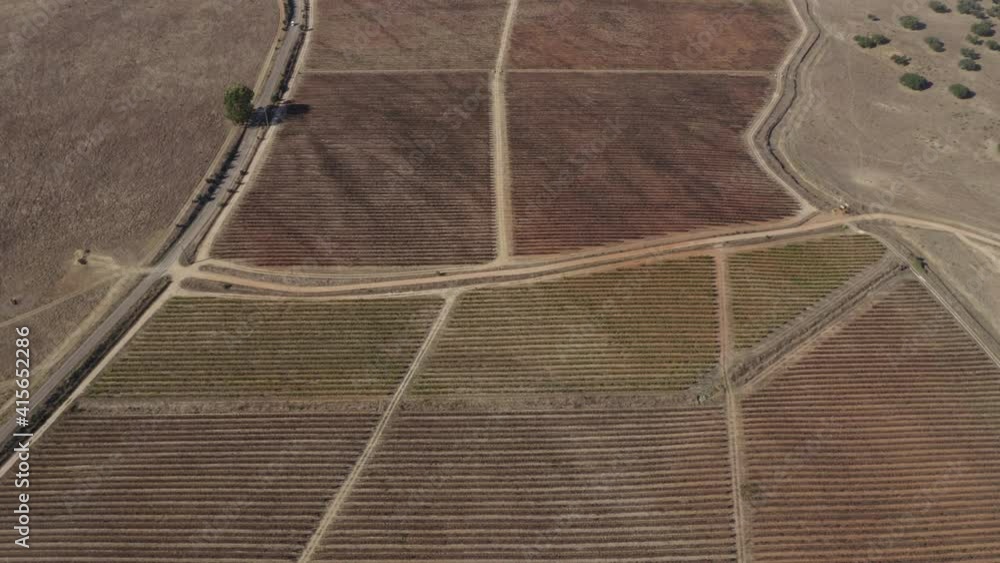 Red and yellow vineyards drone aerial top view with village on the background during summer, in Alentejo Portugal Red and yellow vineyards drone aerial top view with village on the background during summer, in Alentejo Portugal