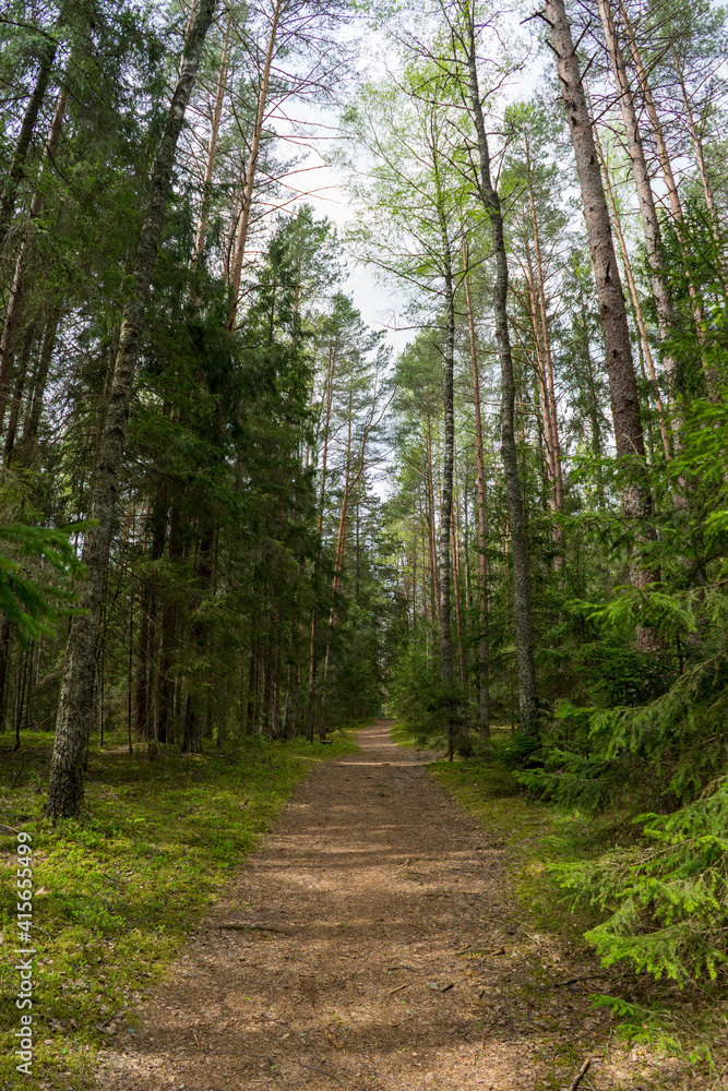 Forests of Belarus, National Park Narochansky Krai
