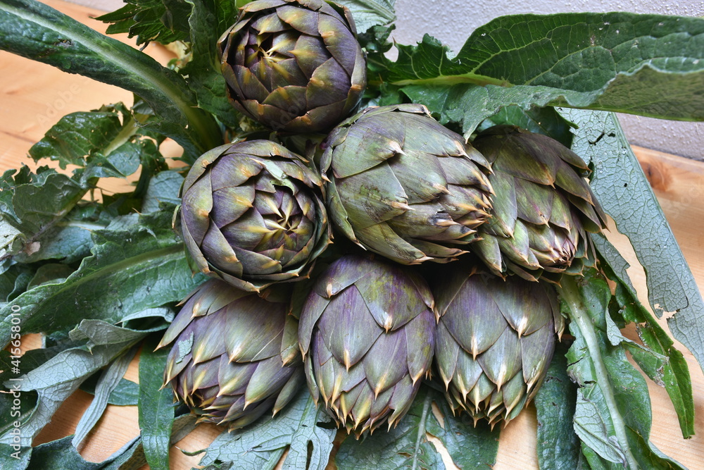 Carciofo, tipica pianta mediterranea. E' una pianta della famiglia Asteraceae coltivata in Italia e in altri Paesi per uso alimentare e, secondariamente, medicinale.