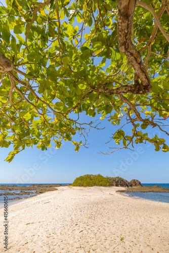 Beach seen under a native tree in Costa Rica © JaribFoto