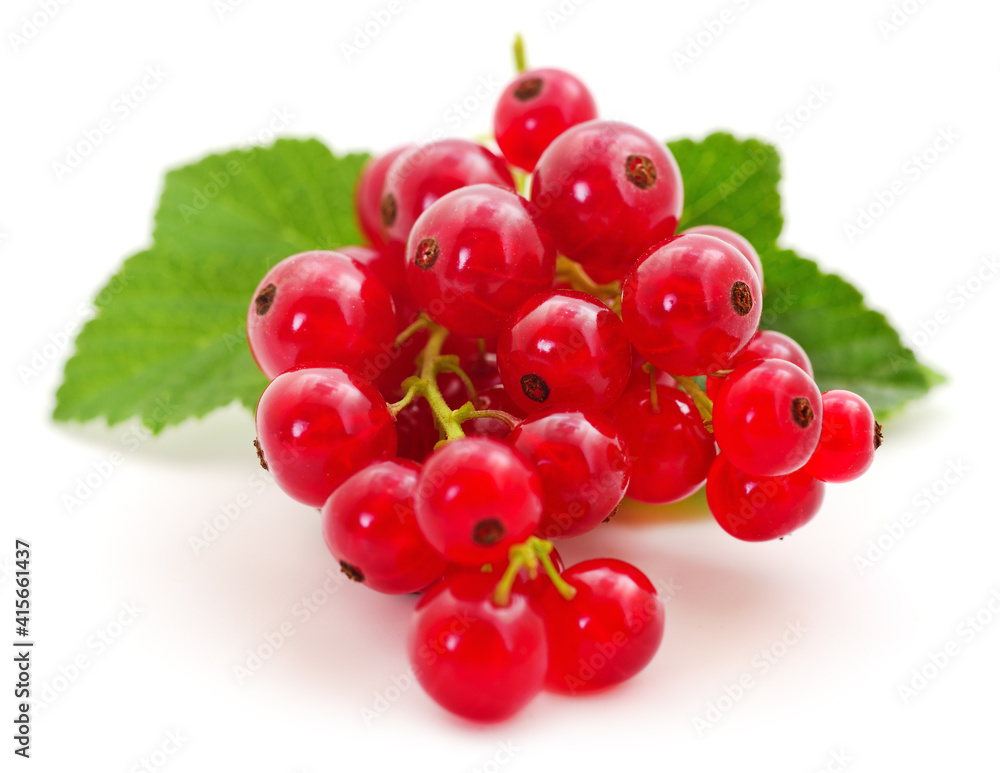 Red currants with green leaves.