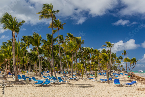 Fototapeta Naklejka Na Ścianę i Meble -  Palms at Bavaro beach, Dominican Republic