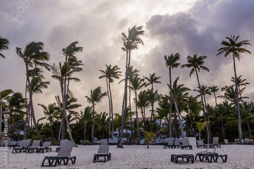 Palms at Bavaro beach, Dominican Republic