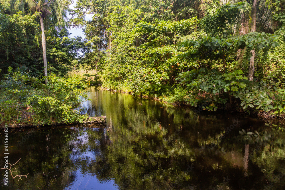 Pond in the National Park El Choco near Cabarete, Dominican Republic