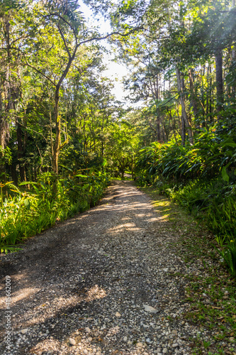 Botanical gardens at the Pico Isabel de Torres mountain above Puerto Plata, Dominican Republic