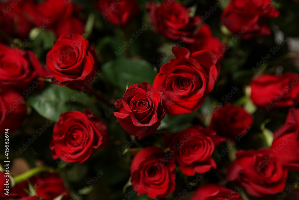 Beautiful bouquet of red roses, seen from above. Spring flowers. Wedding, women's day, mothers day and valentines day background. Selective shallow depth of field. Beautiful bouquet of red roses, seen from above. Spring flowers. Wedding, women's day, mothers day and valentines day background. Selective shallow depth of field.