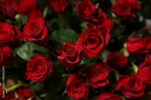 Beautiful bouquet of red roses  seen from above. Spring flowers. Wedding  women s day  mothers day and valentines day background. Selective shallow depth of field.
