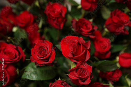 Beautiful bouquet of red roses, seen from above. Spring flowers. Wedding, women's day, mothers day and valentines day background. Selective shallow depth of field.