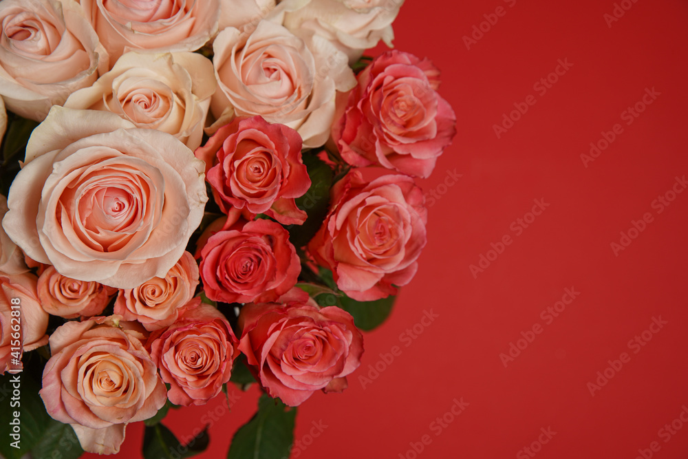 Beautiful white, red, tabby tea rose flowers in a vase, photographed from above on the red table. Spring flowers. Wedding mothers day and valentines day background. Selective small depth of field. Beautiful white, red, tabby tea rose flowers in a vase, photographed from above on the red table. Spring flowers. Wedding mothers day and valentines day background. Selective small depth of field.