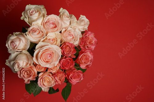 Beautiful white  red  tabby tea rose flowers in a vase  photographed from above on the red table. Spring flowers. Wedding mothers day and valentines day background. Selective small depth of field.