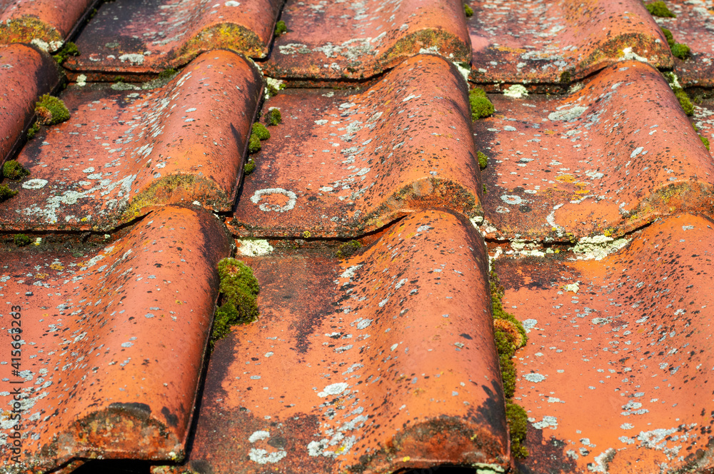 old roof tiles with moss and lichens