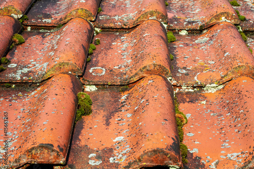Obraz na płótnie old roof tiles with moss and lichens w salonie