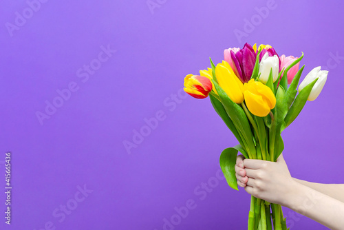 A bouquet of tulips in the hands of a purple background, the boy gives a bouquet of tulips. Congratulations on the holiday, March 8, Valentine's Day or birthday. Multicolored tulips in hand
