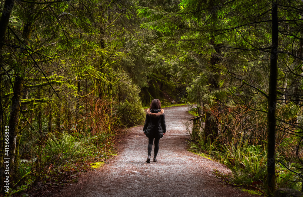 Girl Walking on a Beautiful Path in the Rainforest during a wet and rainy day. Lynn Canyon Park, North Vancouver, British Columbia, Canada. Nature Forest Background