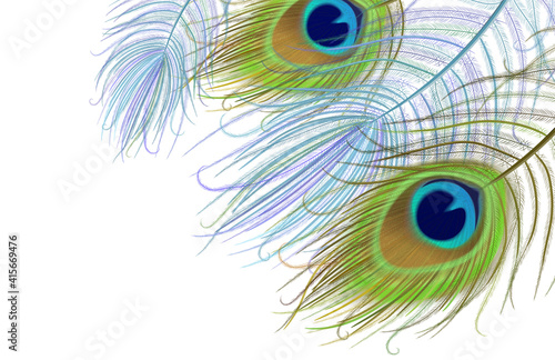 Peacock feather realistic in boho style. Luxury design.