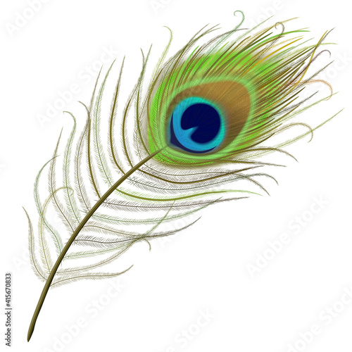 Peacock feather realistic in boho style. Luxury design.
