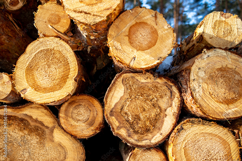 The face of the log was stacked. Deforestation in Central Europe. The face of the log was stacked. Deforestation in Central Europe.