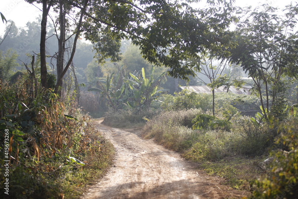 Obraz premium road in the mountains