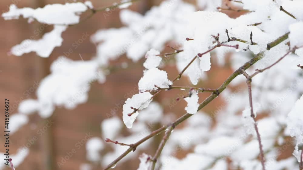 Slow motion snowfall in garden with ice melting on branches Slow motion snowfall in garden with ice melting on branches
