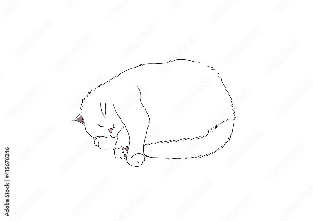 猫 猫