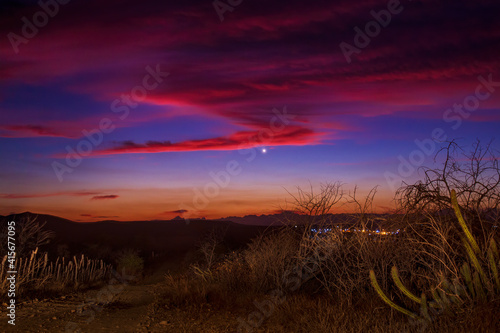 sunset over the field