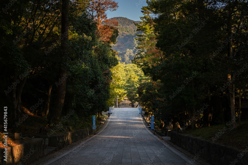 Fototapeta premium 出雲大社参道 島根県出雲市