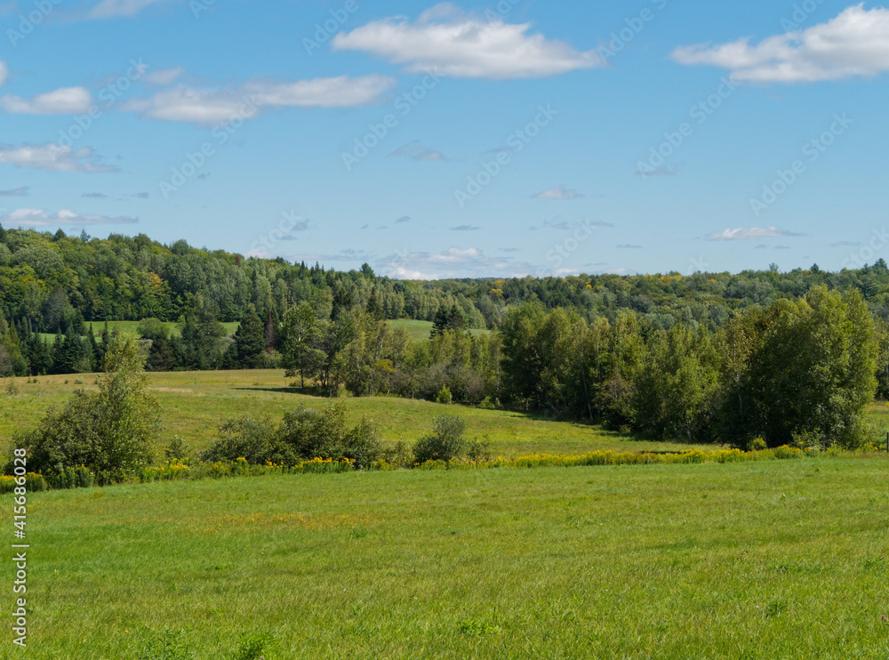 Fototapeta premium Farm fields