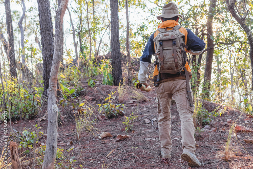 Male with backpack walking into the forest, Hiking concept.