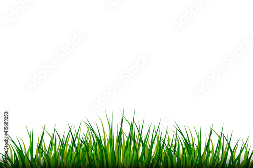 Grass on White background. Nature illustration. Vector pattern. Stock image.