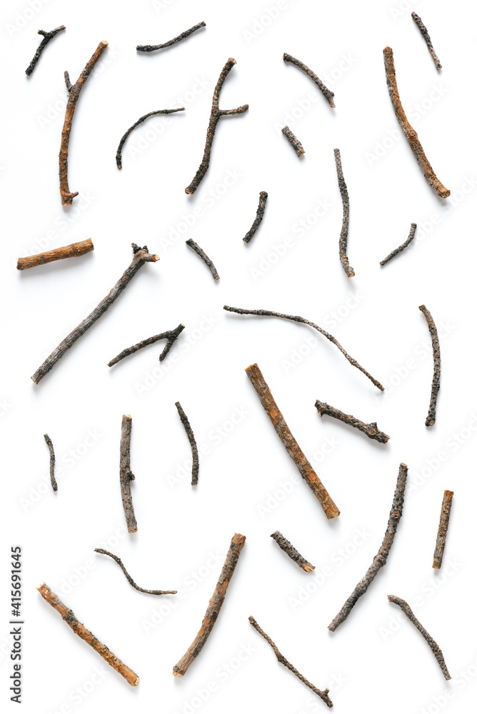 Scattering of various dry pine branches on a white background. Top view, flat lay, copy space. Scattering of various dry pine branches on a white background. Top view, flat lay, copy space.