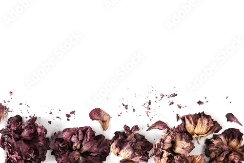 Dried red hibiscus rose petals on a white background. Greeting or invitation card, top view, flat lay, copy space.
