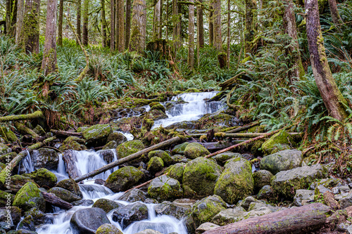 Wallace Falls State Park photo