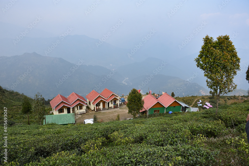 Home Stay With Organic Tea Plantation