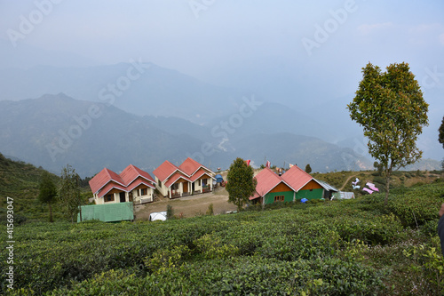 Home Stay With Organic Tea Plantation © SULTAN