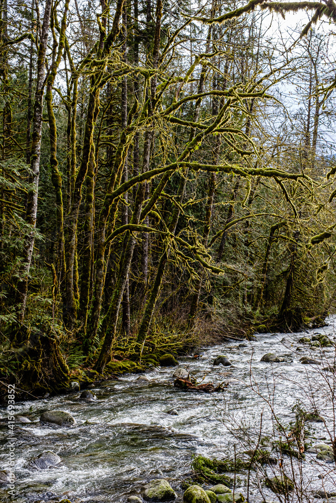 Wallace Falls State Park Wallace Falls State Park
