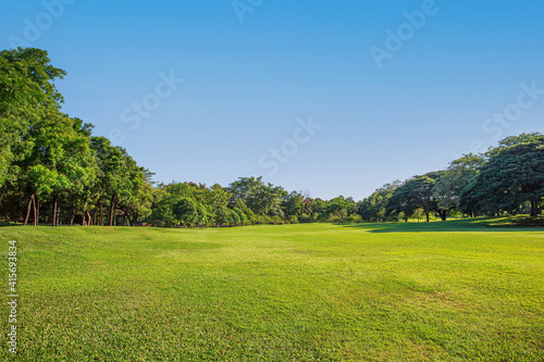 landscape with green grass and sky