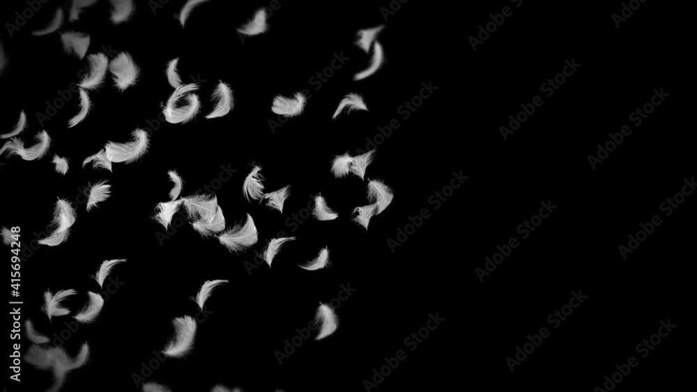 Flying many white feathers on black background. Beautiful feather floating in air. Happiness concept. 3D loop animation of feathers. Flying many white feathers on black background. Beautiful feather floating in air. Happiness concept. 3D loop animation of feathers.