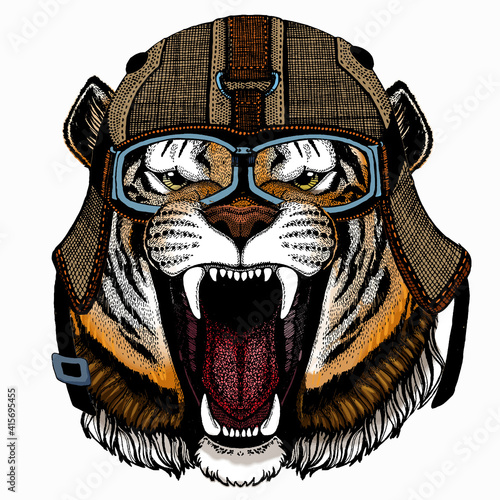 Vector tiger portrait. Animal head.