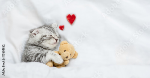 Dreaming kitten sleeps with toy bear on a bed under blanket. Valentines day concept. Top down view. Empty space for text