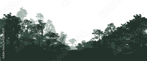 trees silhouettes