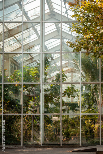 The view from outside in the sunlit greenhouse.
