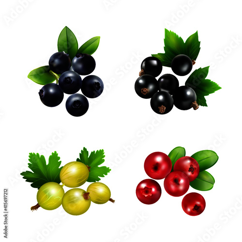 Fototapeta Naklejka Na Ścianę i Meble -  Fruit vector