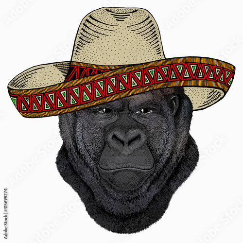 Gorilla head. Vector illustration. Wild animal portrait.